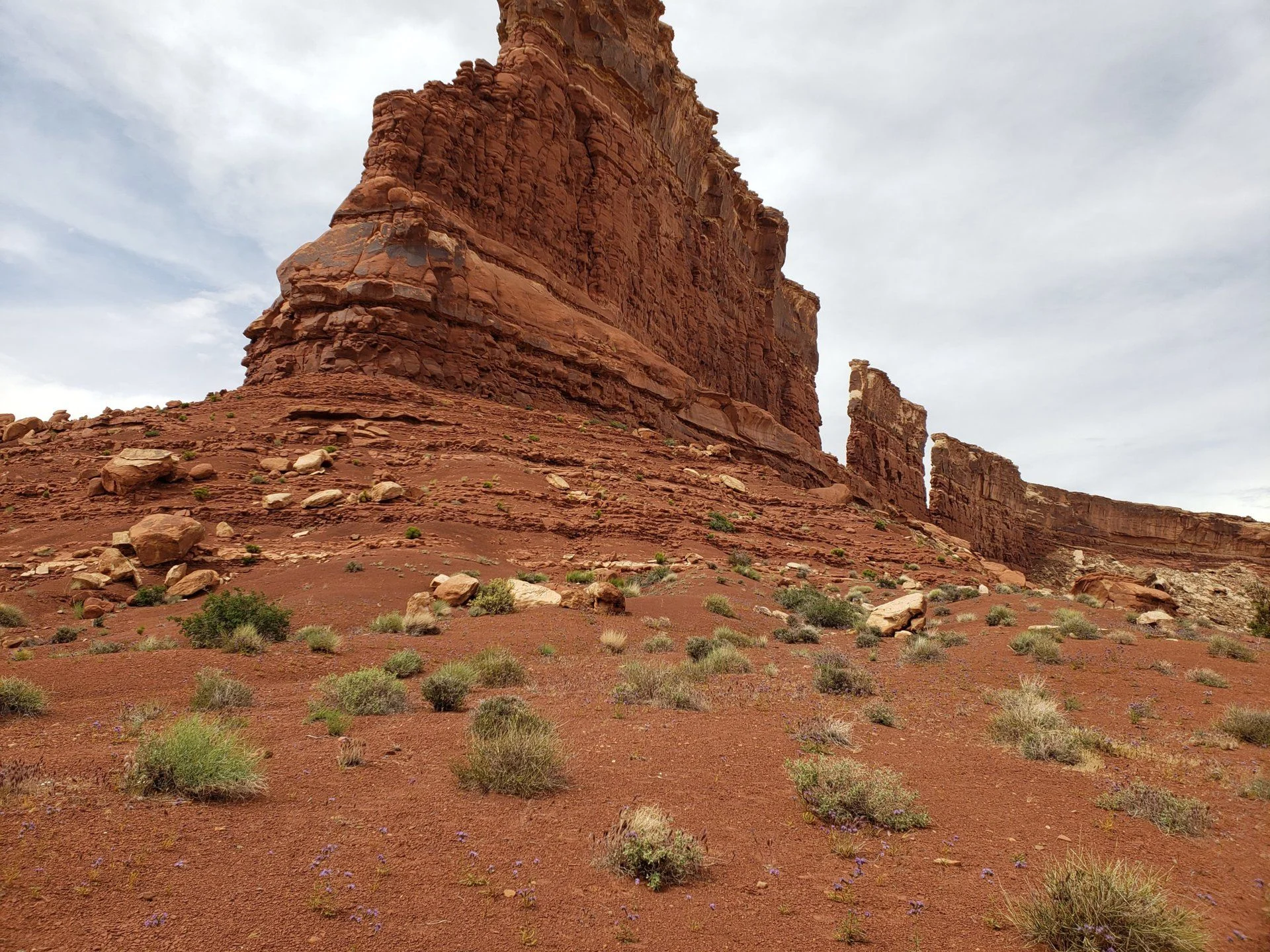 20190509_152403.jpg