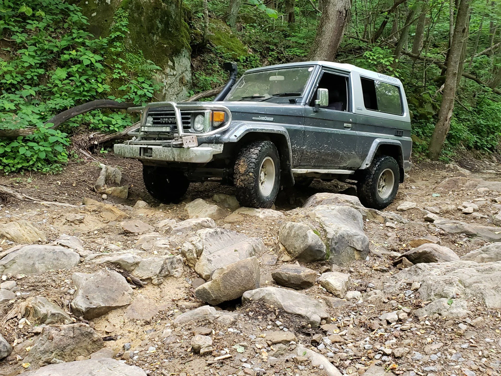 20190515_154906.webp