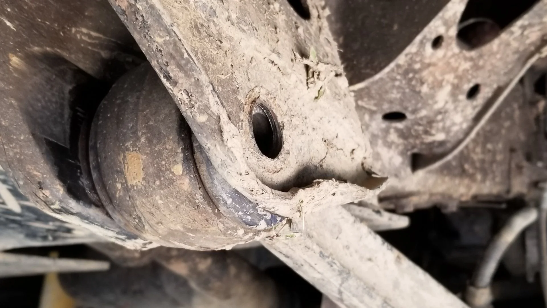 20190523_122259[1].jpg