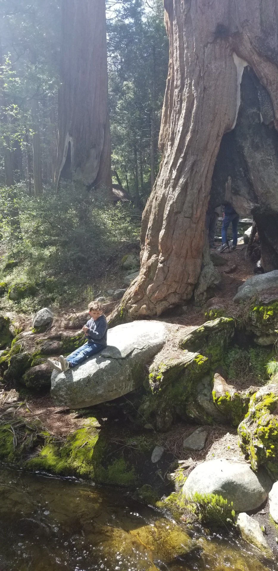 20190525_104856.webp