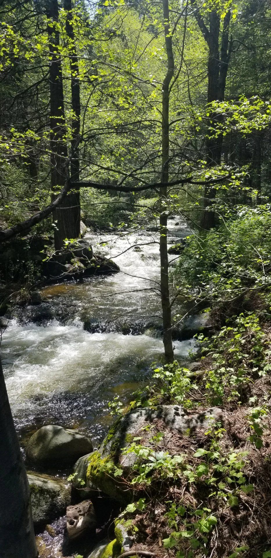 20190525_105629.jpg