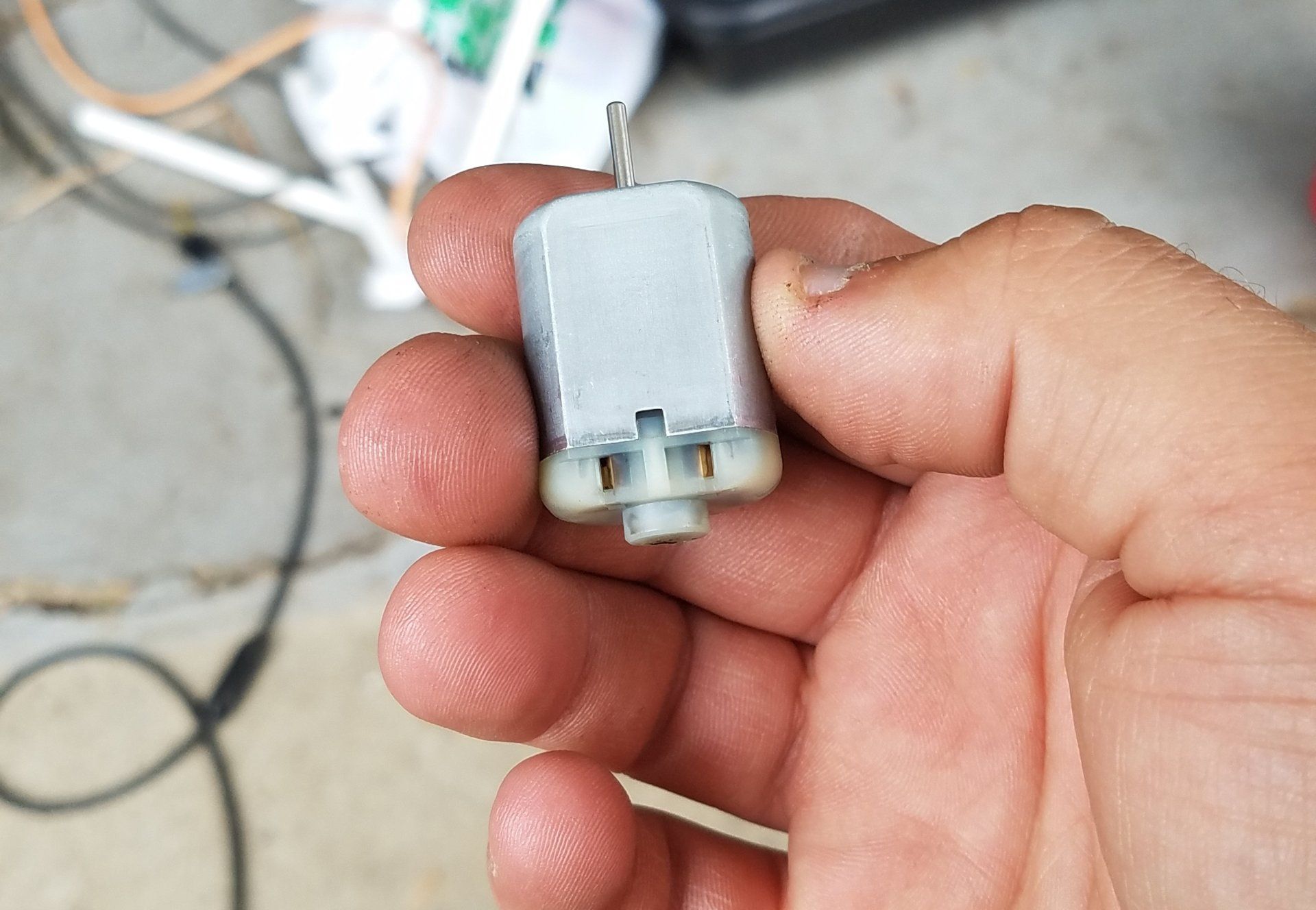 20190525_105715.jpg