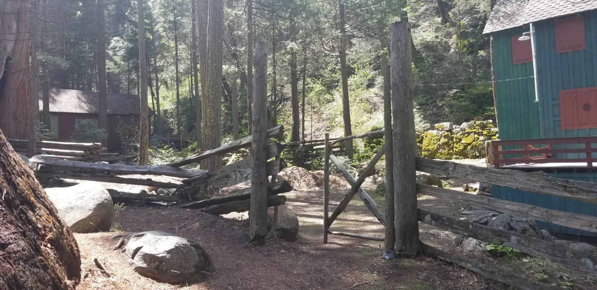 20190525_112949.jpg