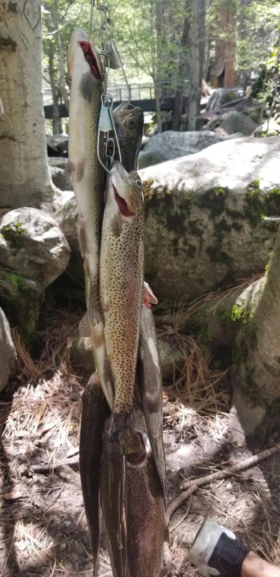 20190525_113235.jpg