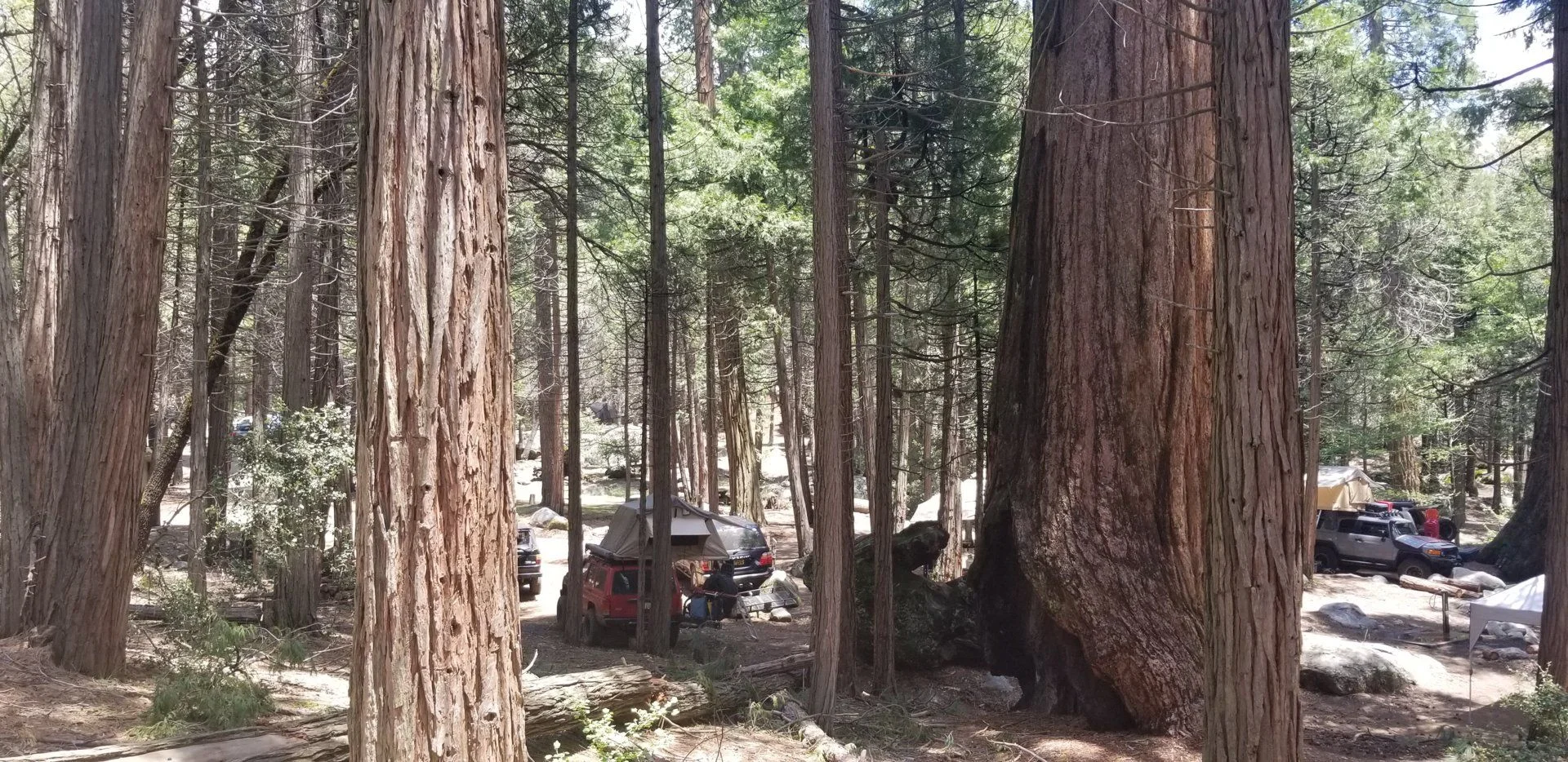 20190525_130936.jpg