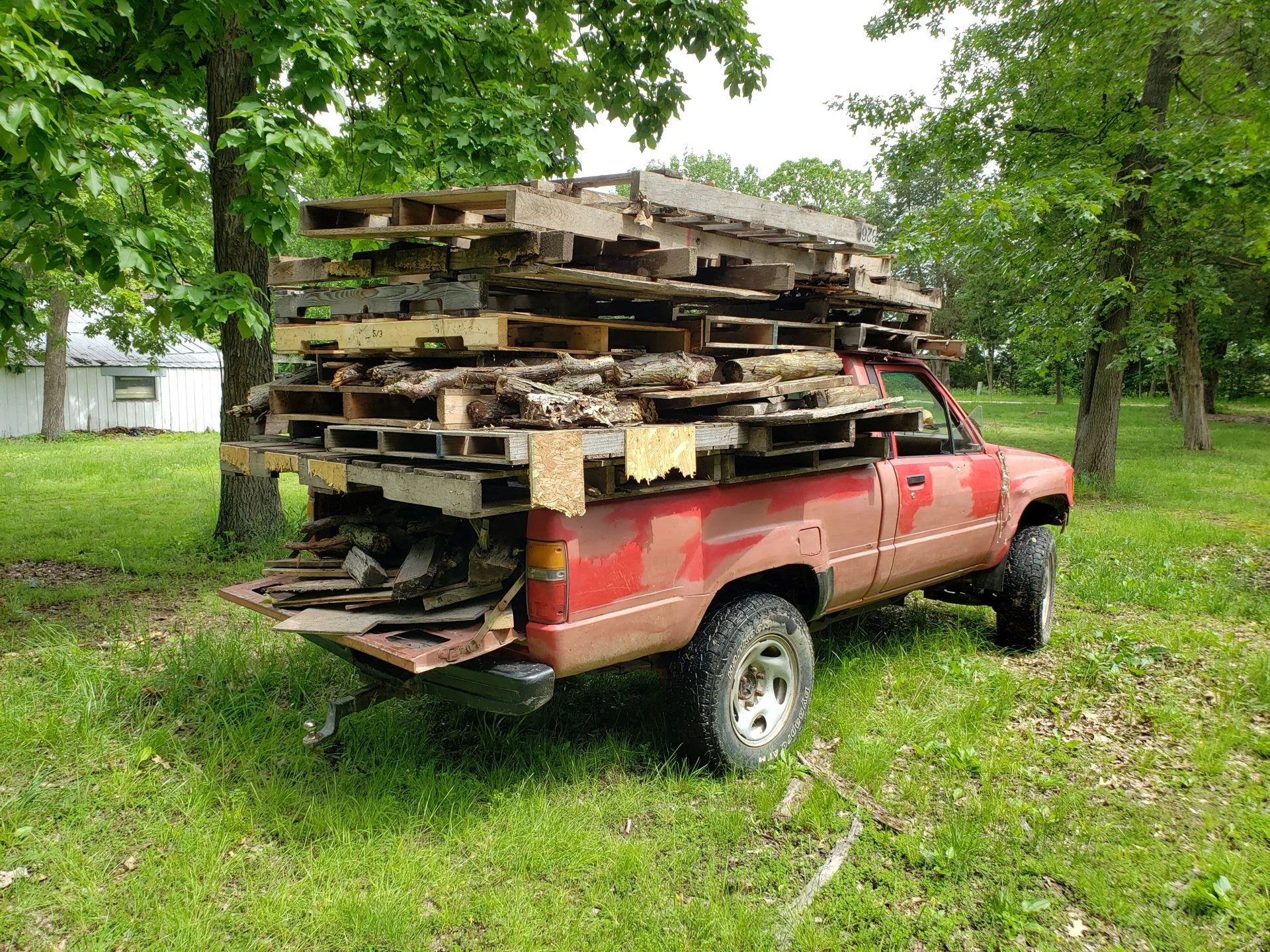 20190526_145424.jpg