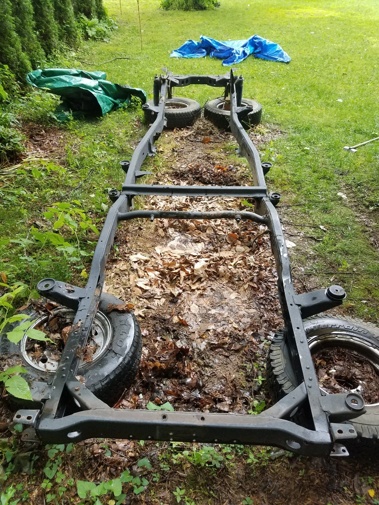20190610_142803.jpg