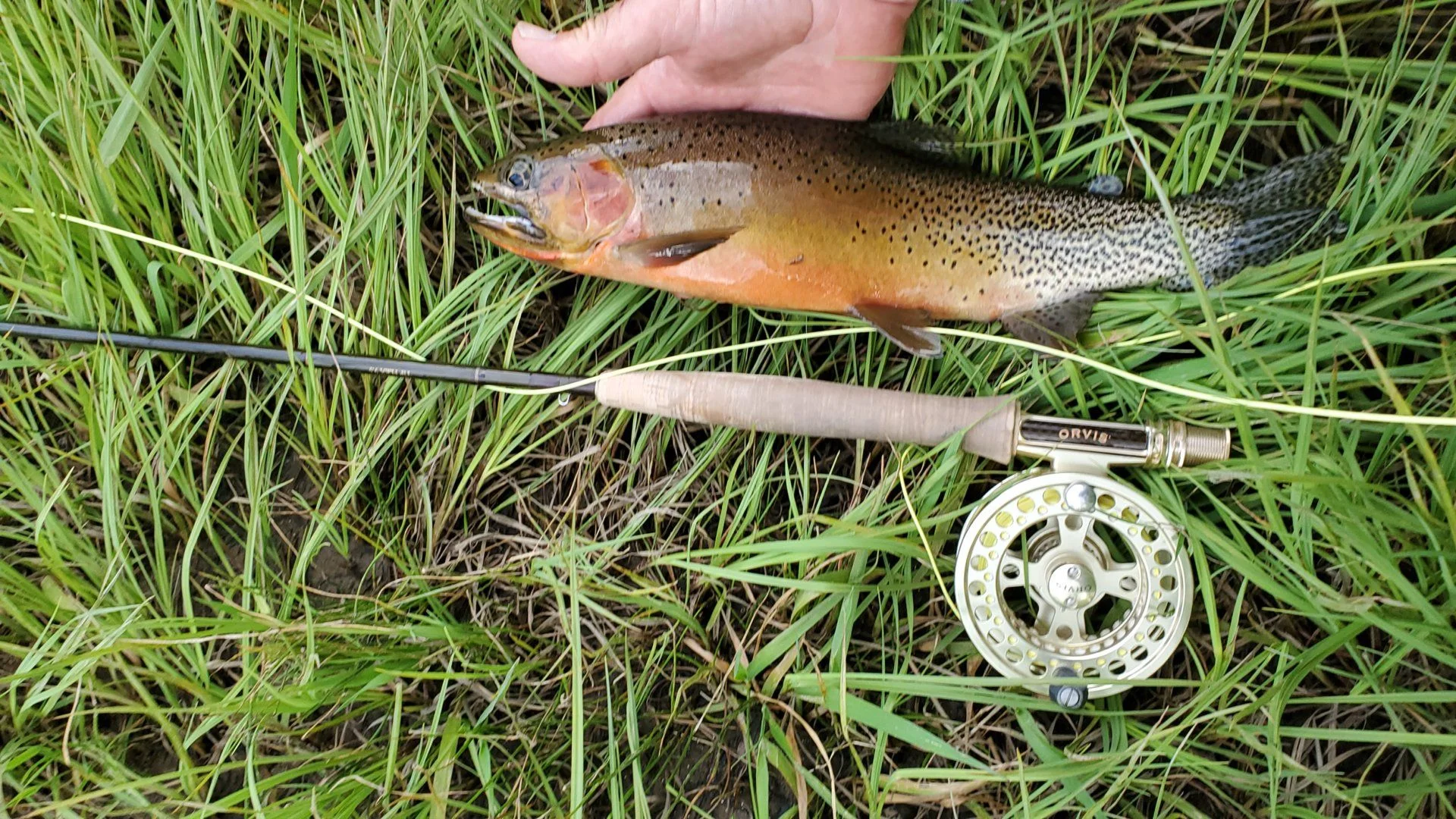 20190616_192633.webp