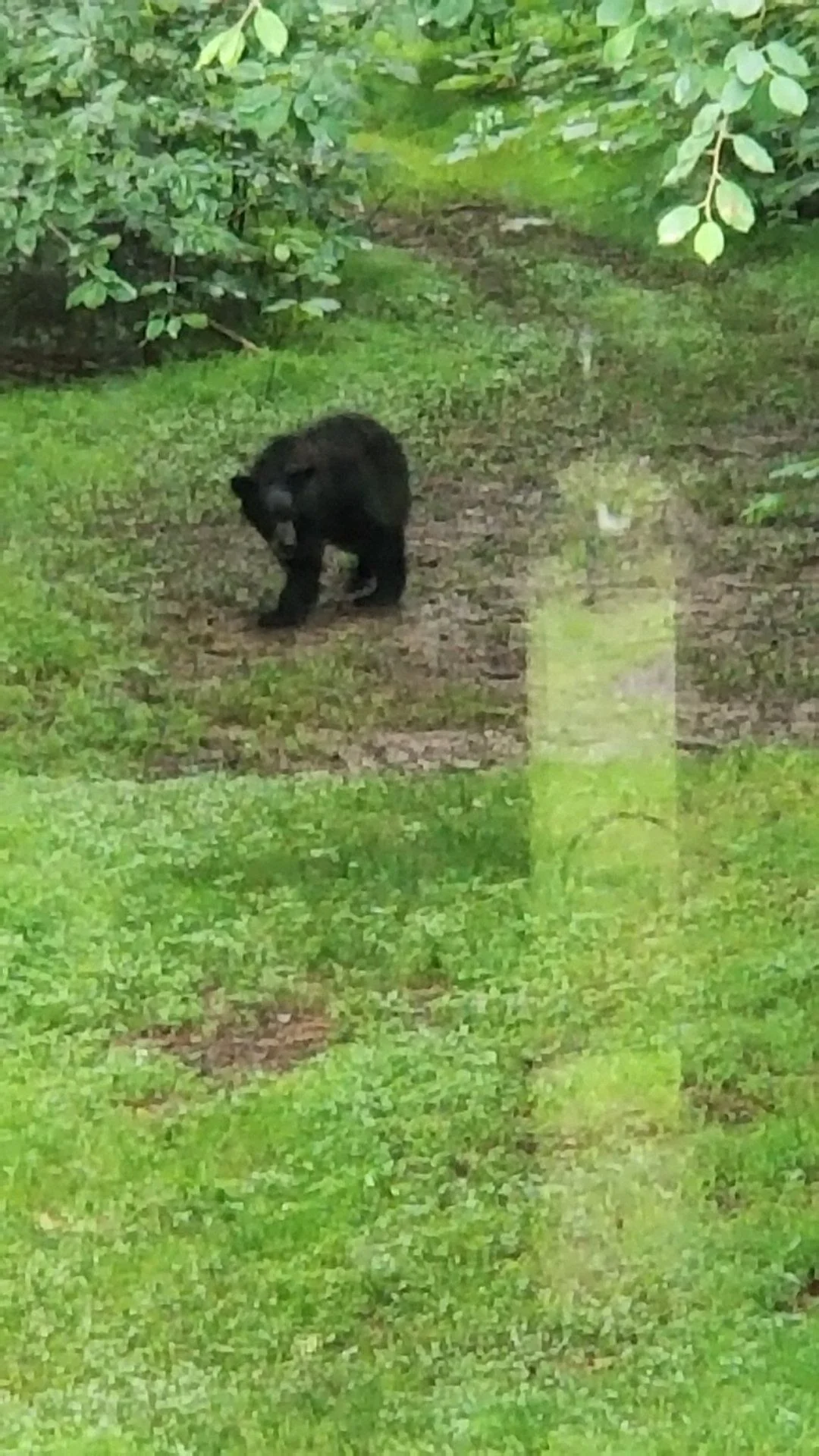 20190619_081406[1].webp