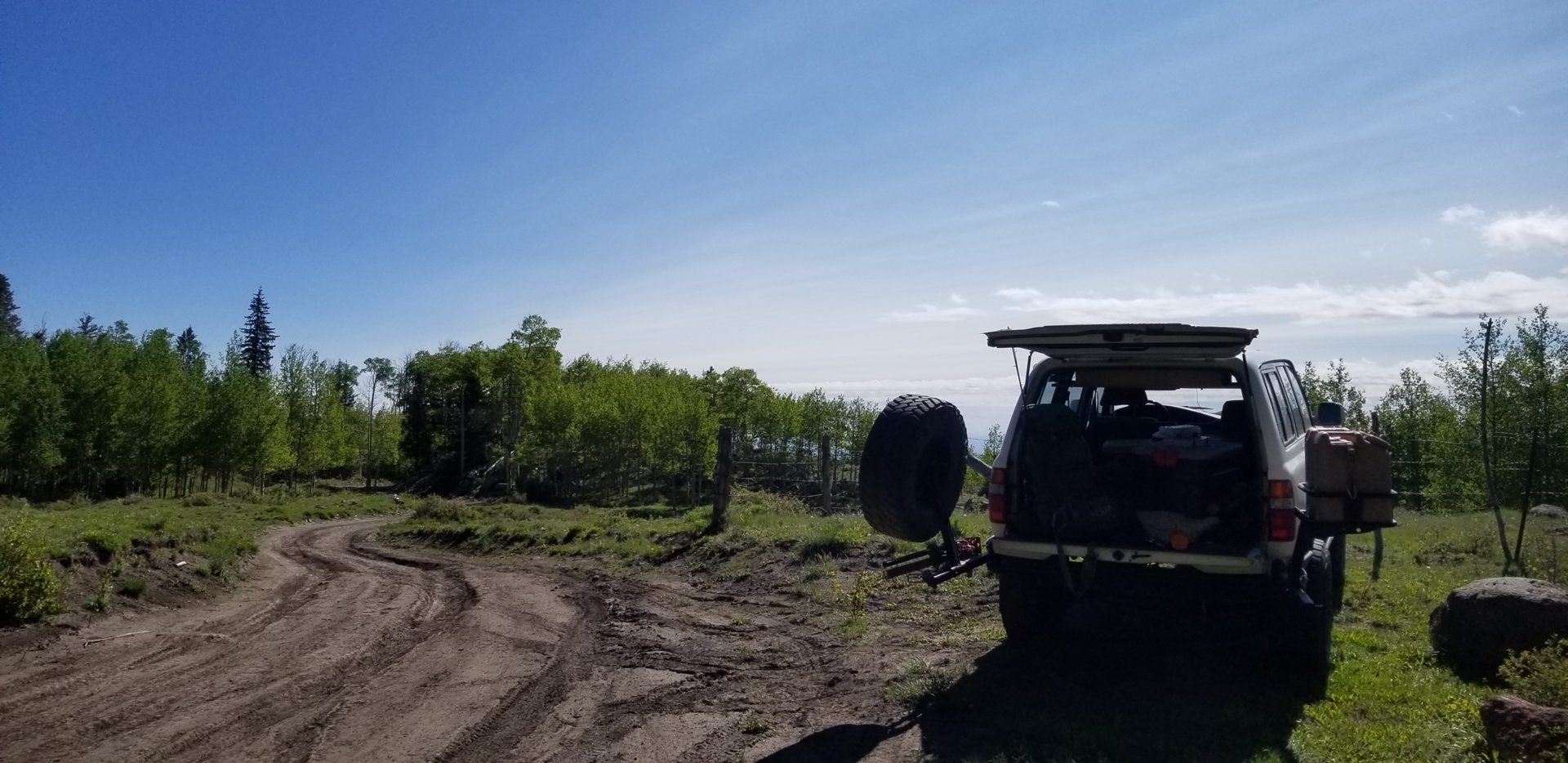 20190622_095924.jpg