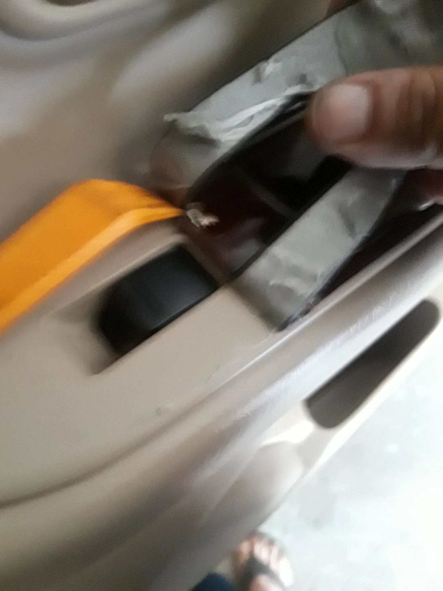 20190623_101848.jpg