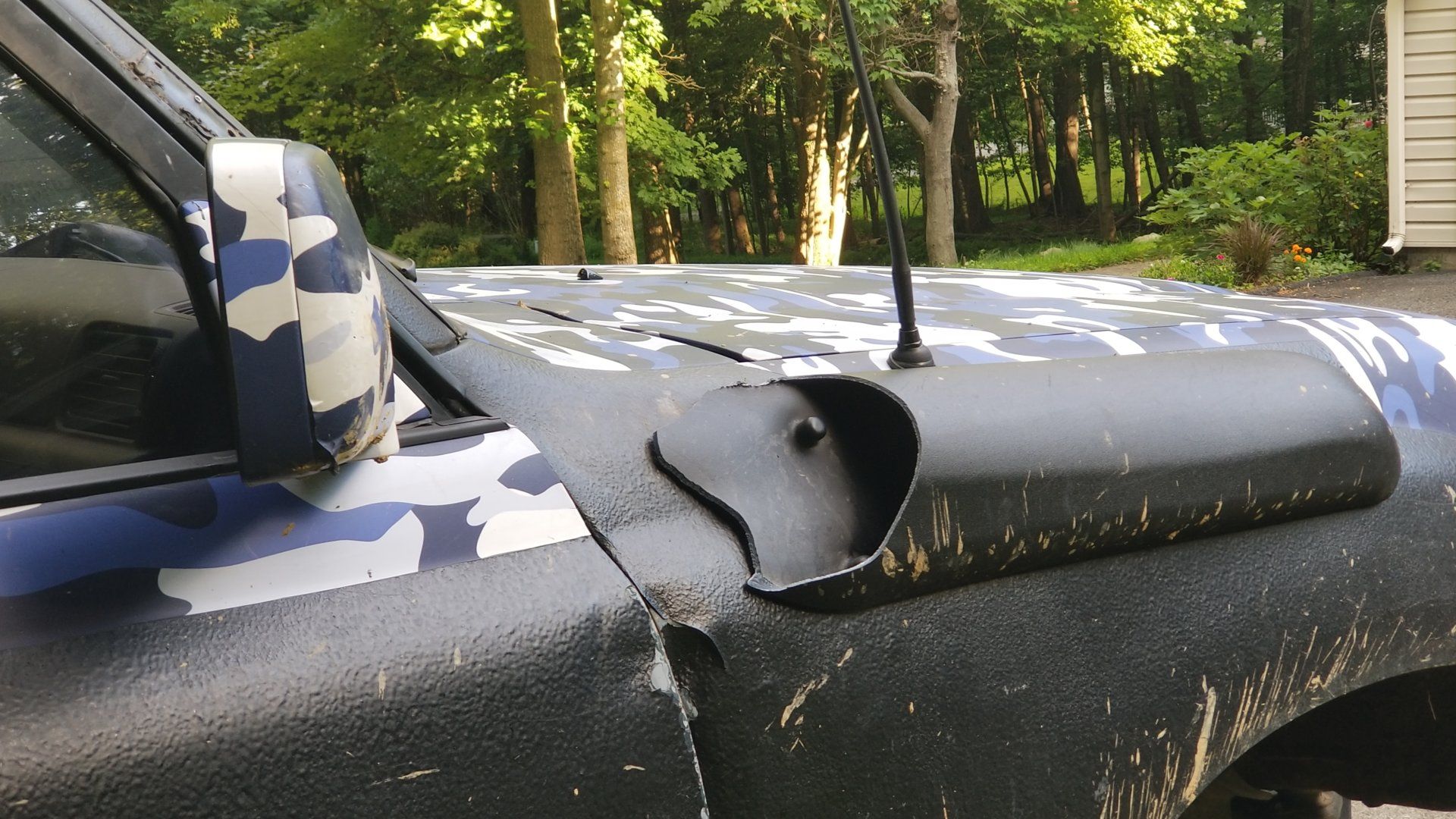 20190624_080426[1].jpg