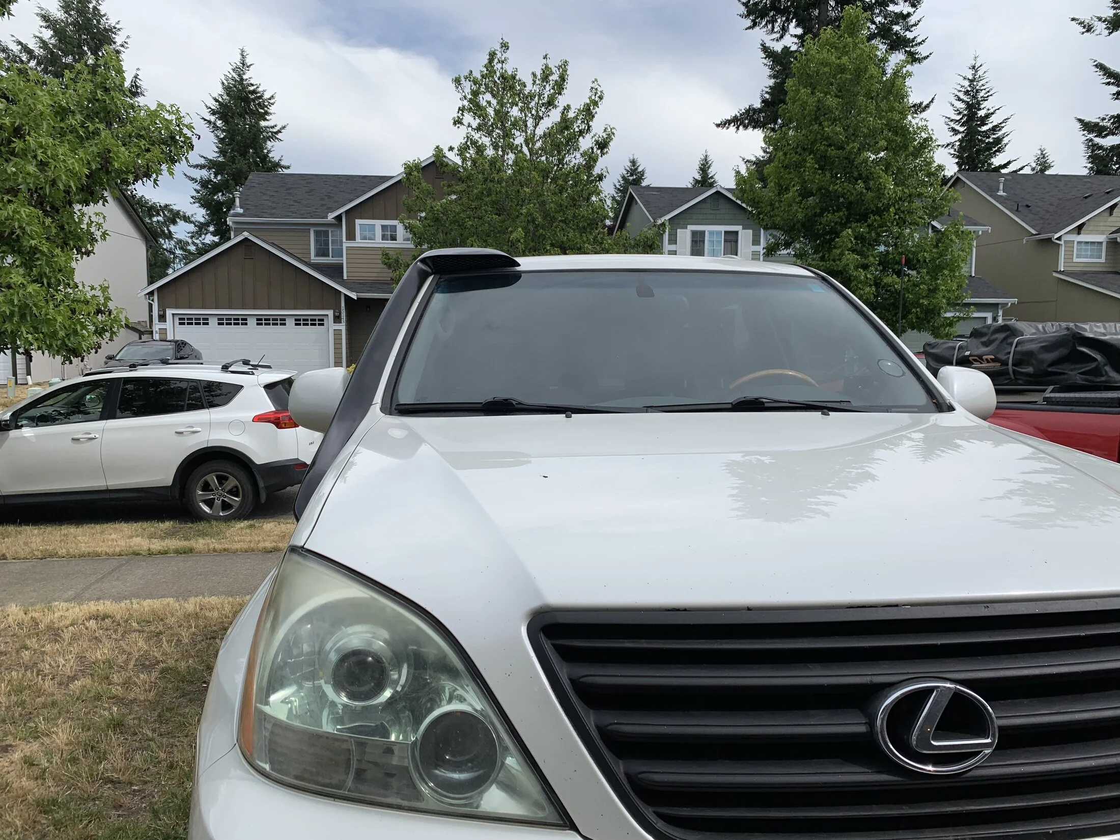 20190629 - Dorkle5.jpg
