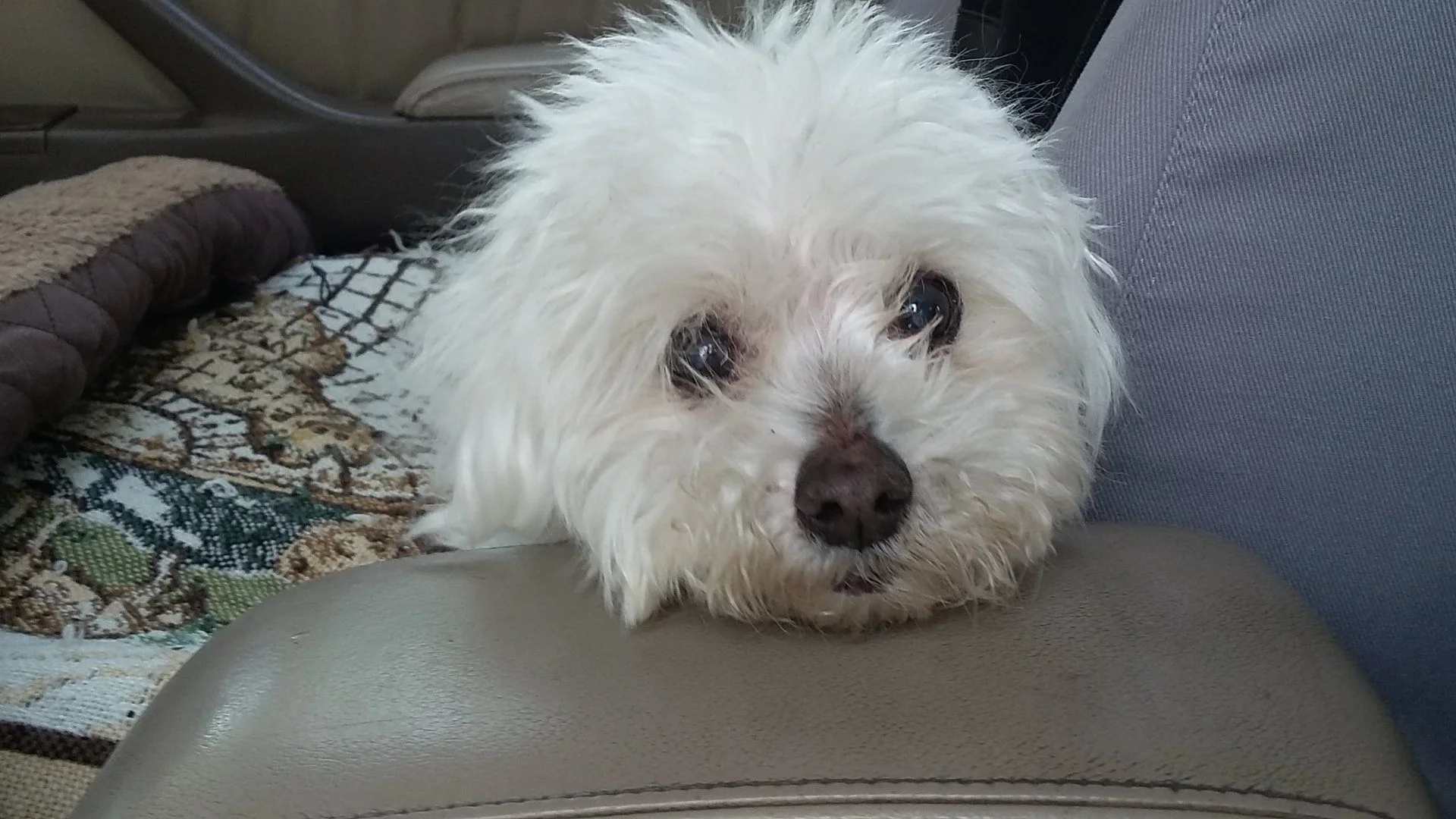 20190629_093627.webp