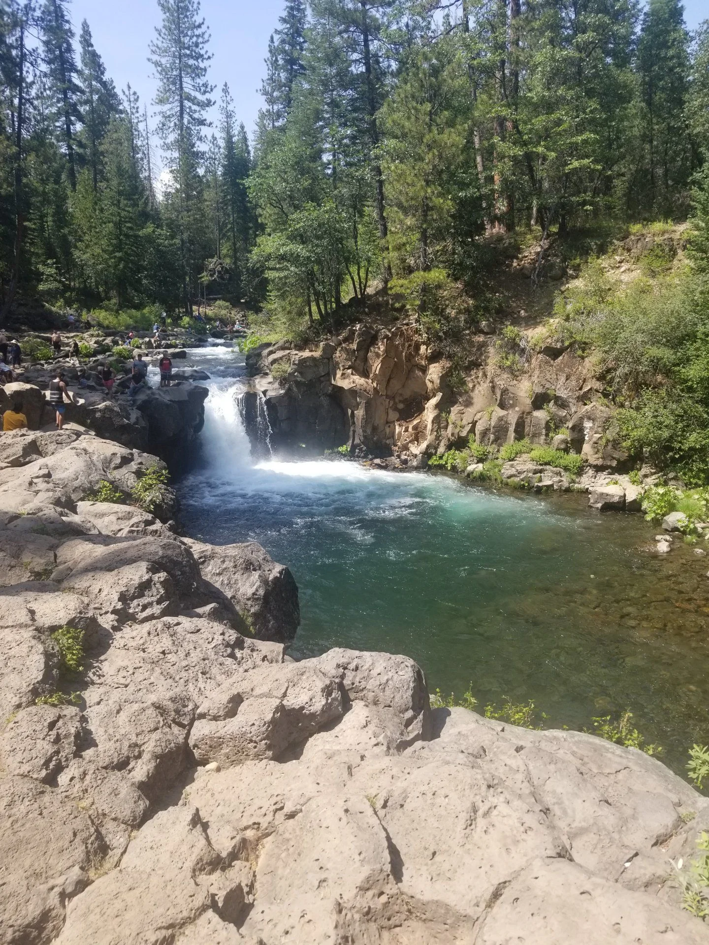 20190705_152150.jpg