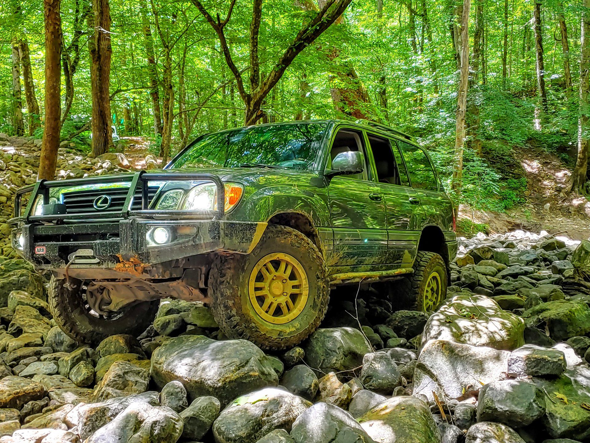 20190706_133236_HDR~2.jpg