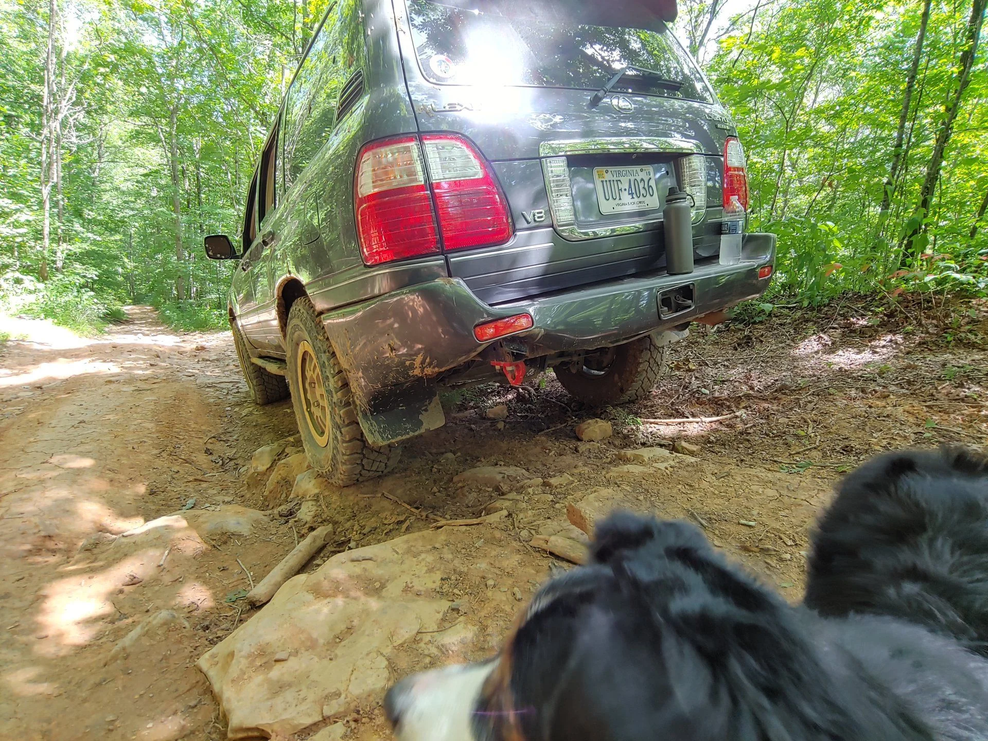 20190706_144209_HDR.webp