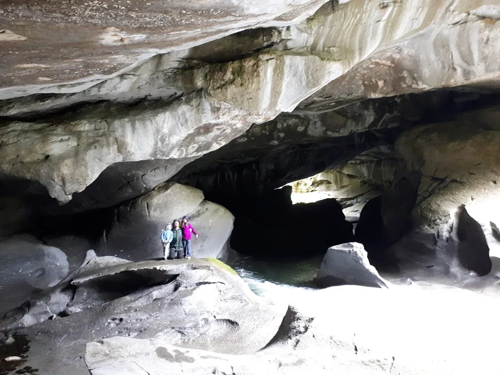 20190715_145302[1].jpg