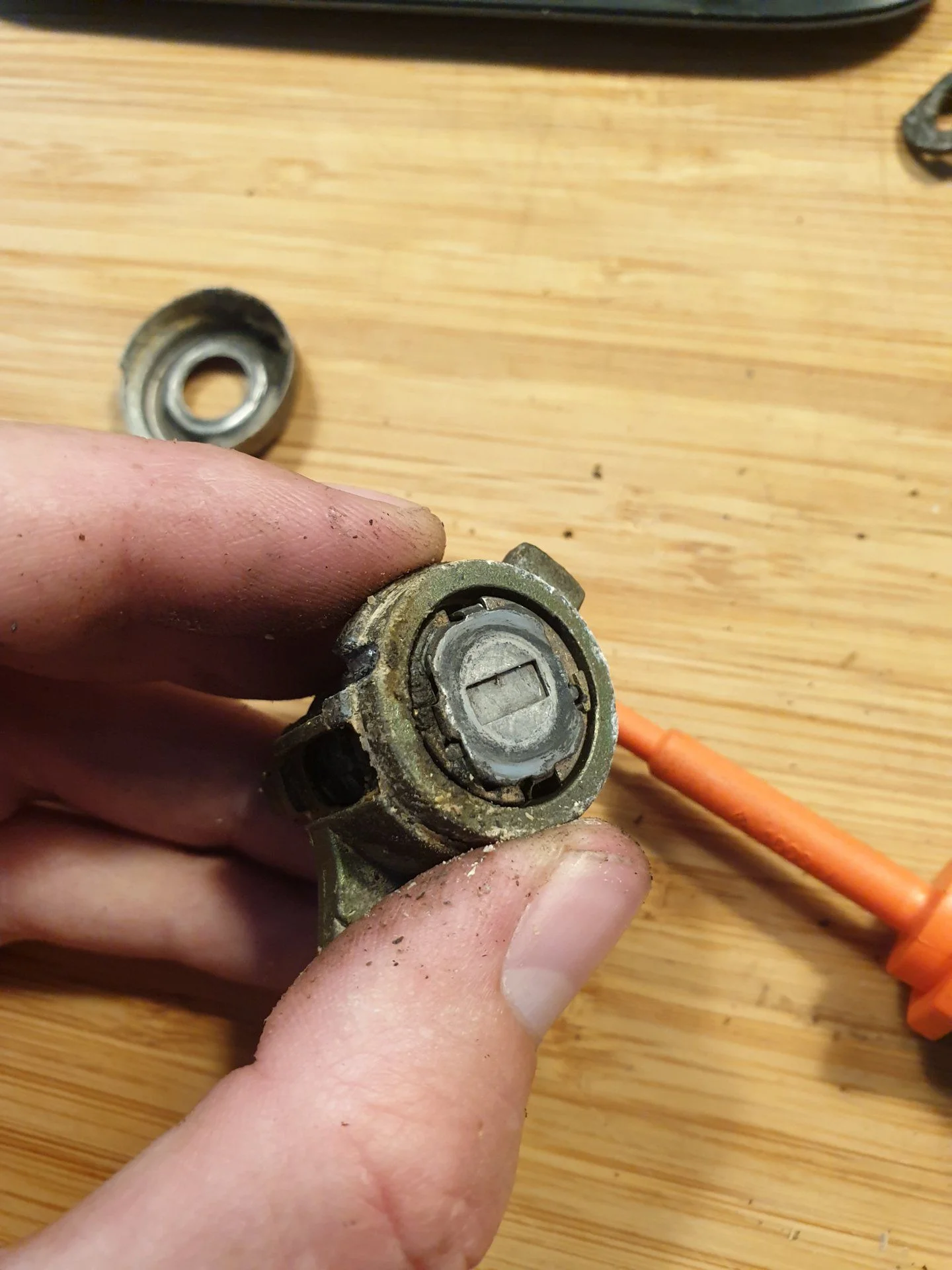 20190721_102326.jpg