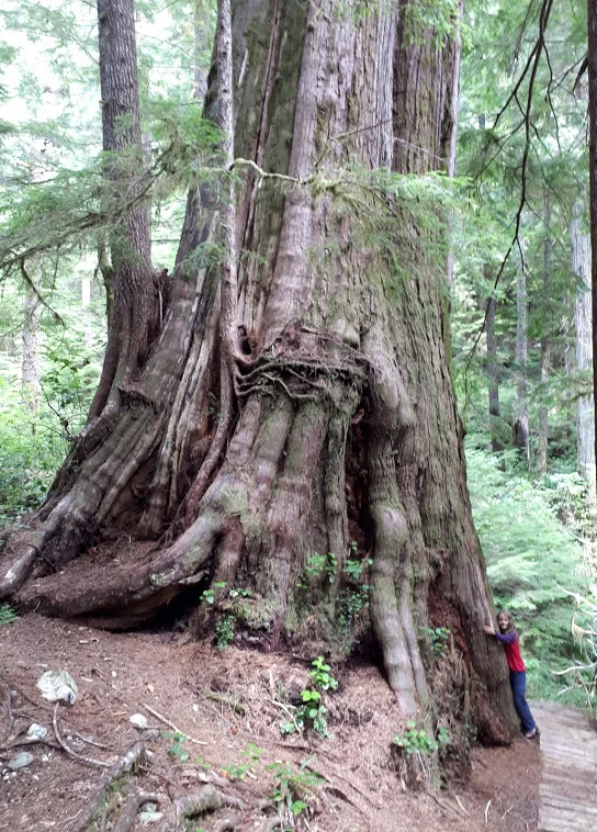 20190723_174303[1].jpg