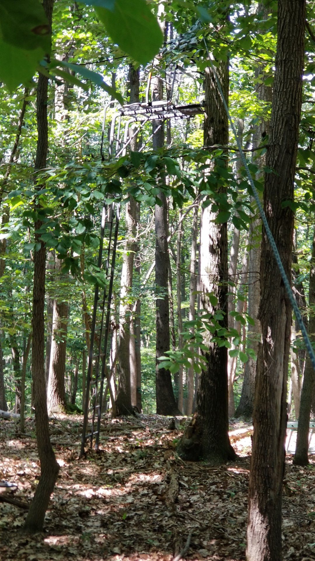 20190730_142954[1].jpg
