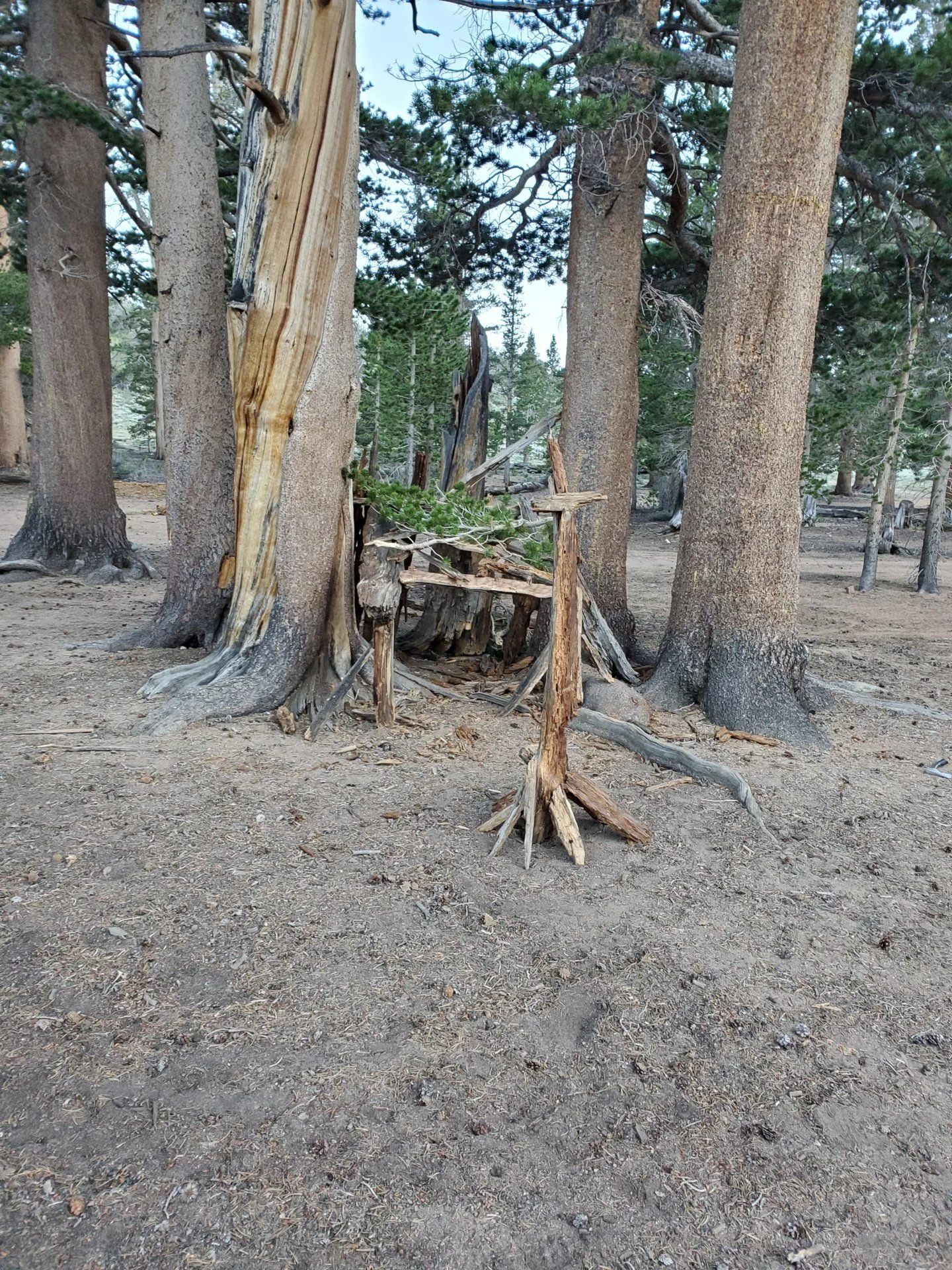 20190809_185749.webp