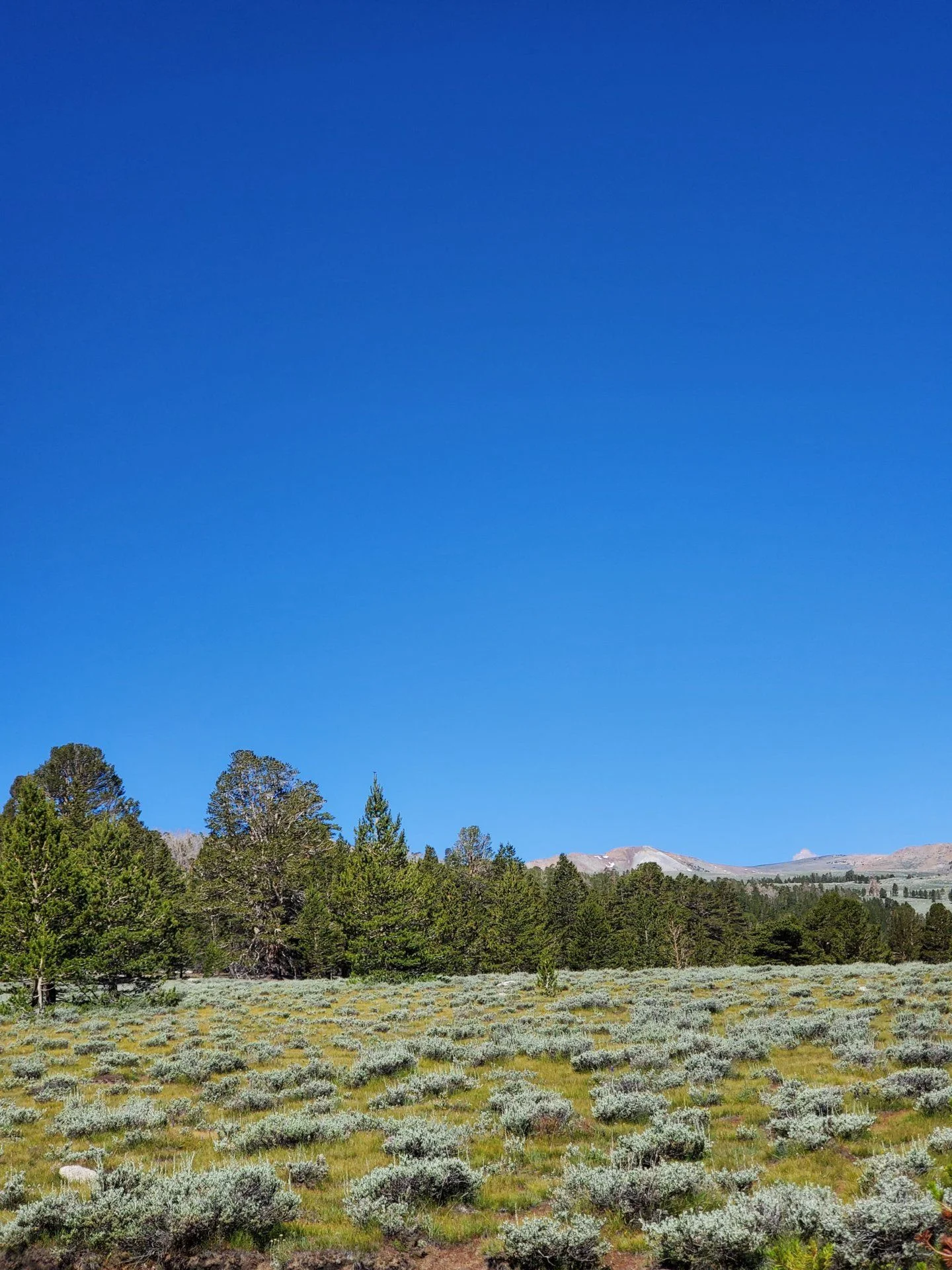 20190810_100244.webp