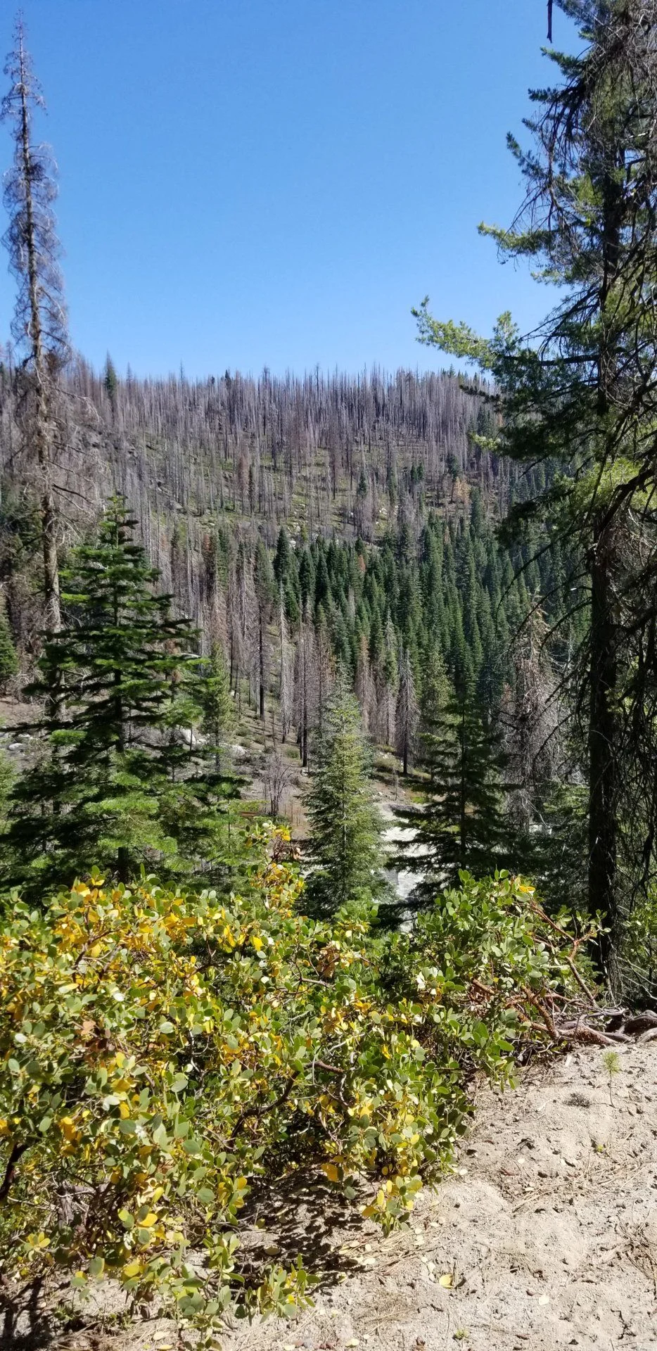 20190810_103203.webp