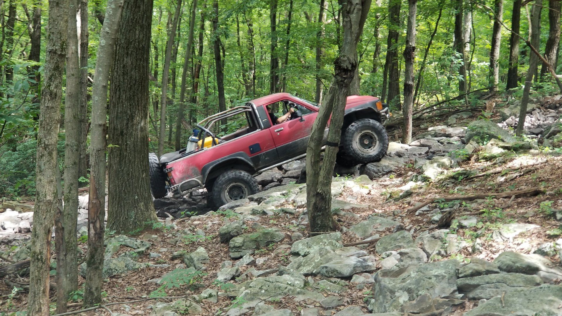 20190810_122452[1].jpg