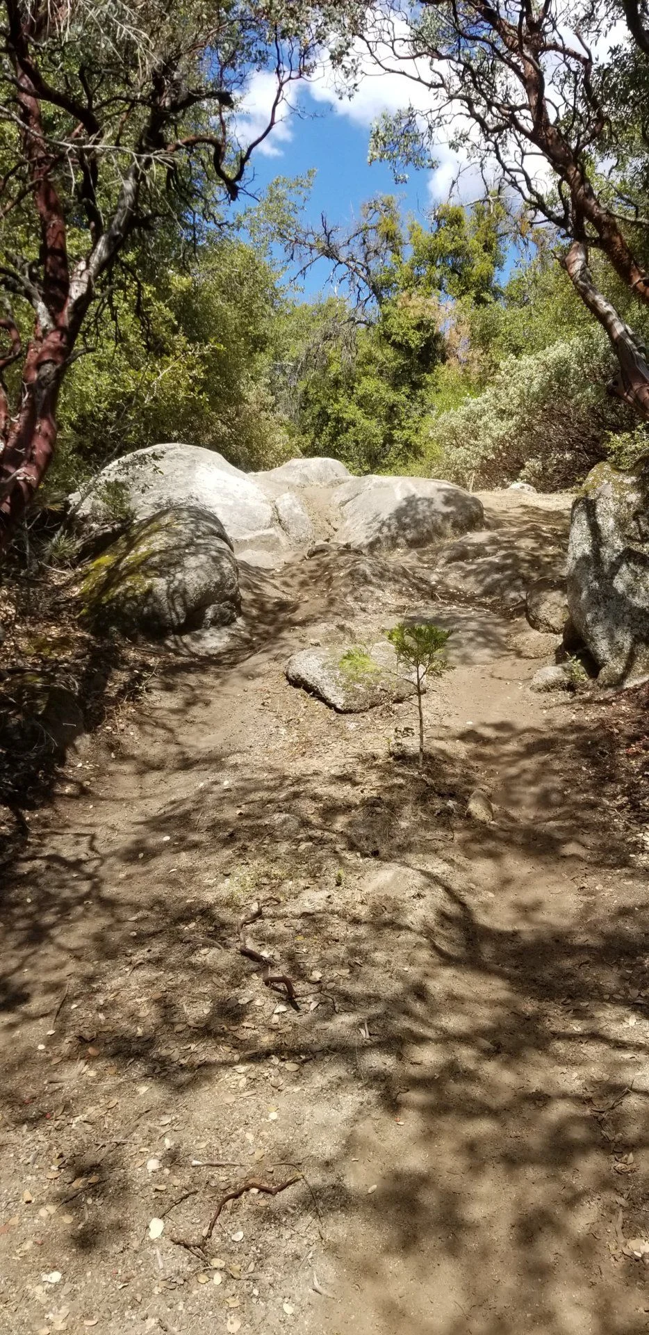 20190810_144756.webp