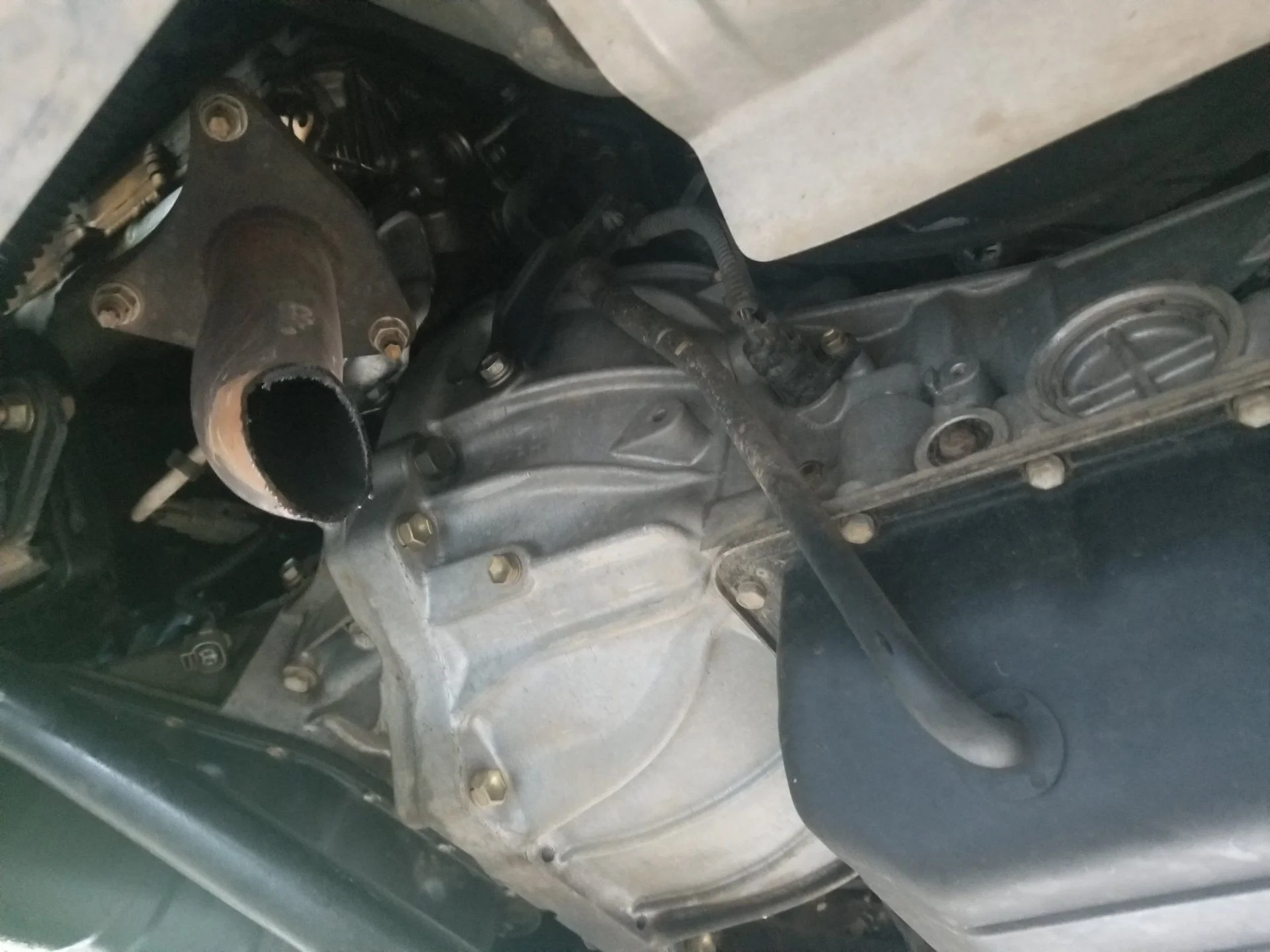 20190813_063339.webp