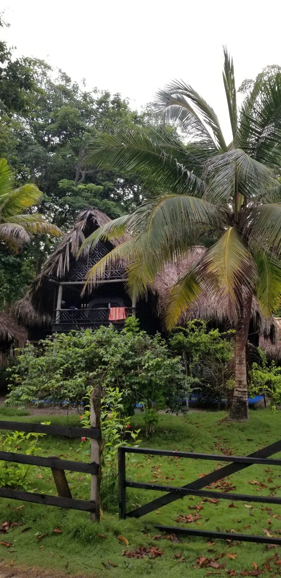 20190815_063812.webp