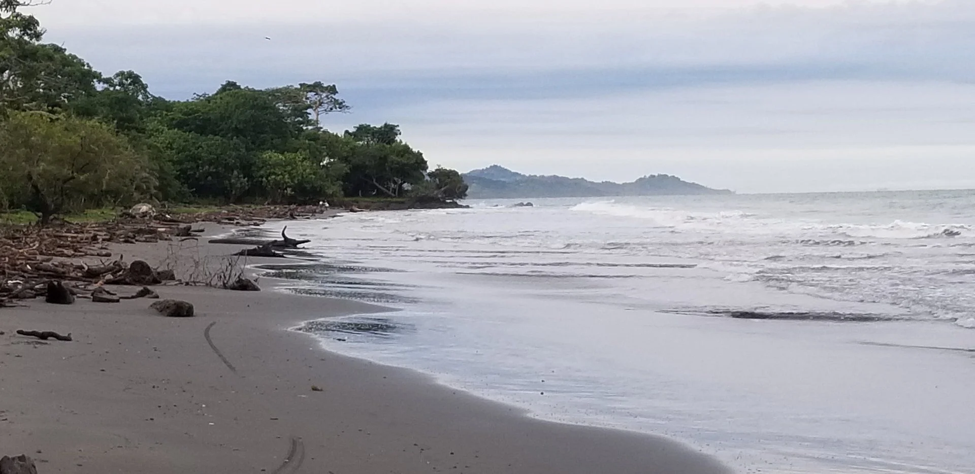 20190815_064235.webp