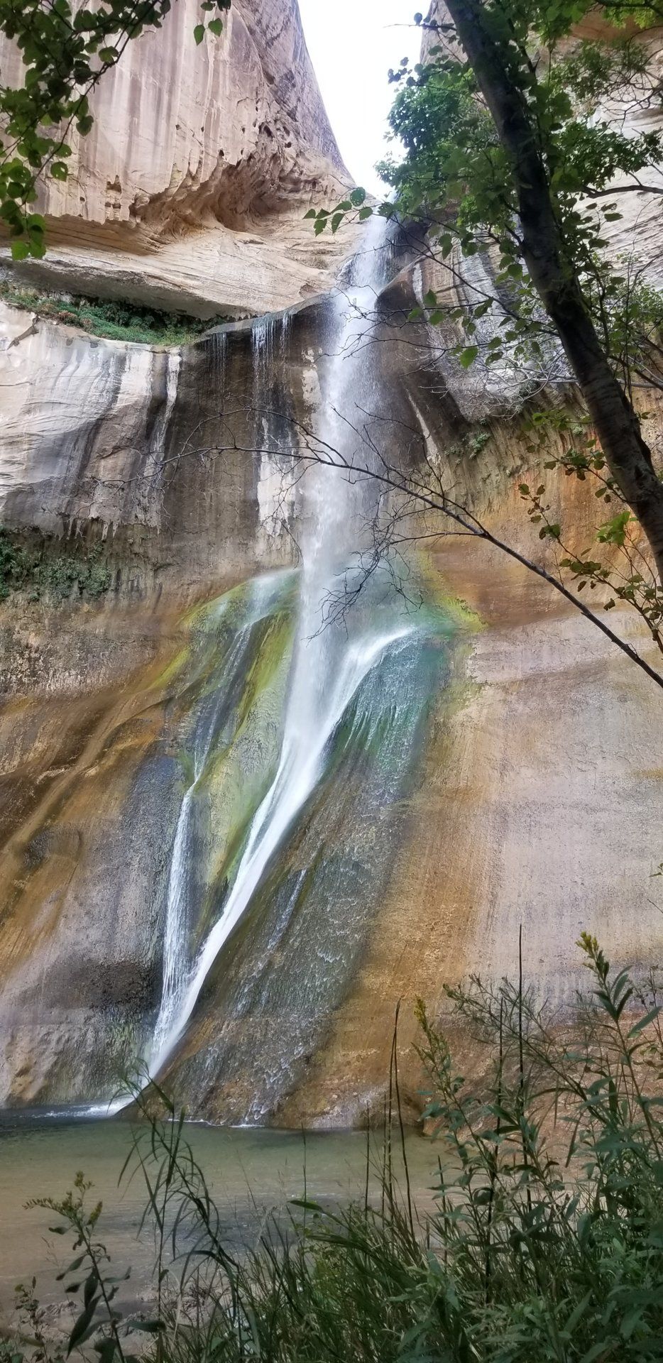 20190817_175310.jpg