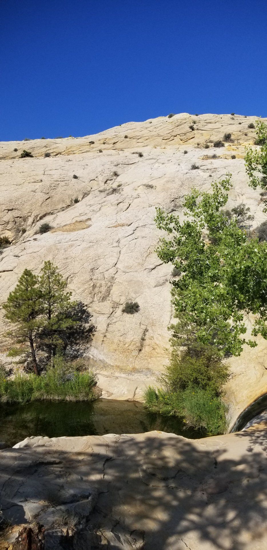 20190818_095136.jpg
