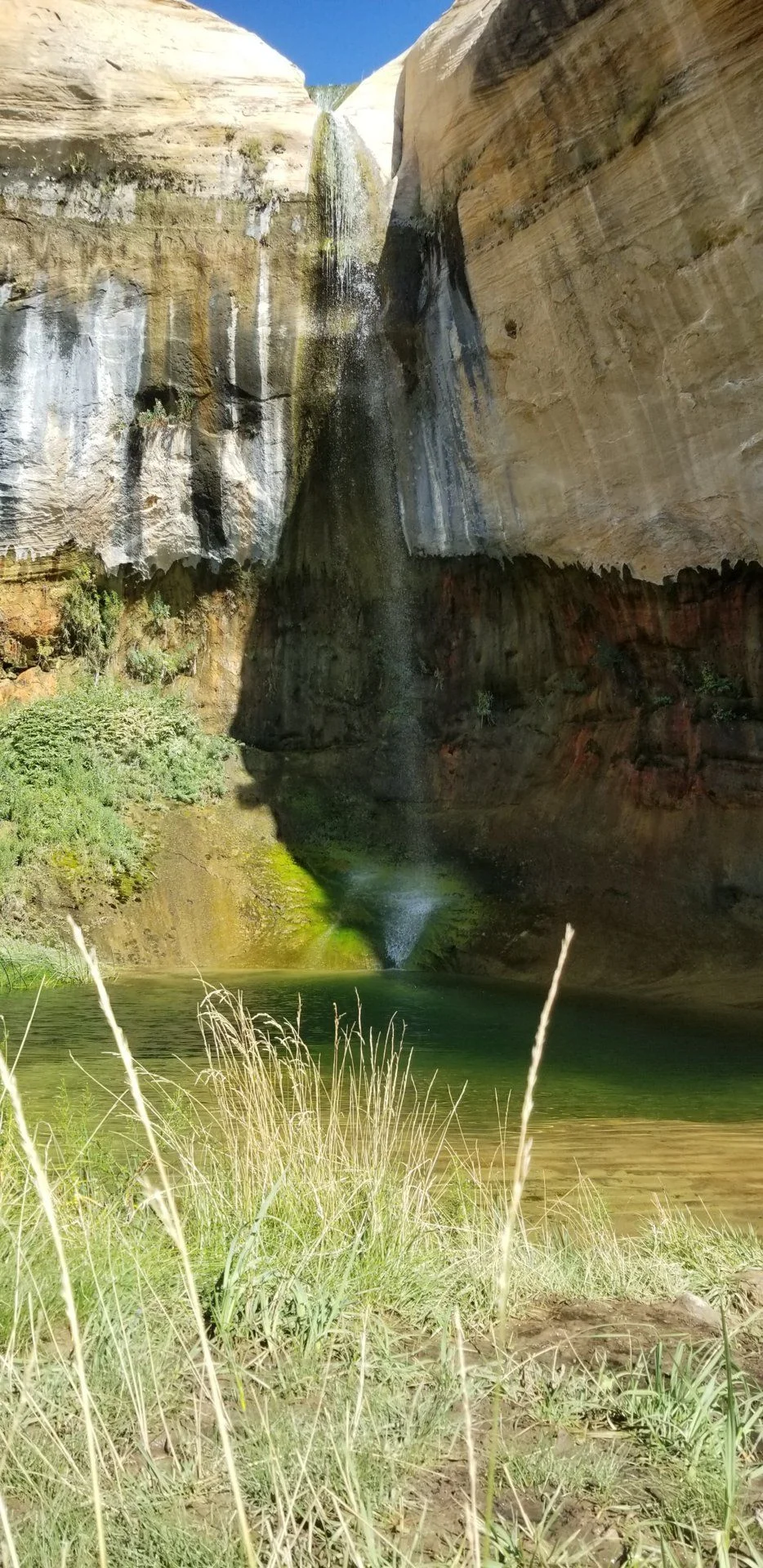 20190818_103758.webp