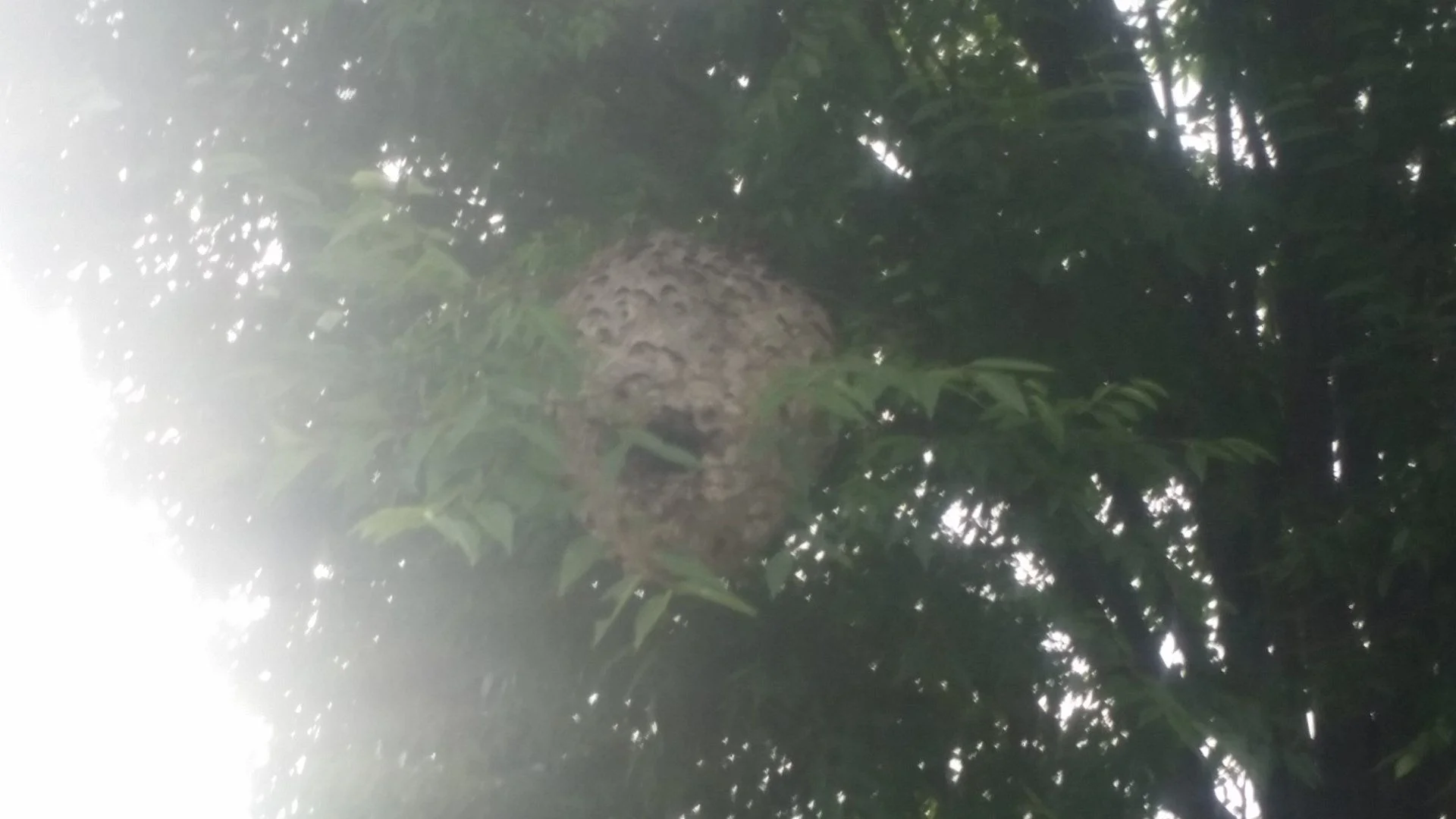 20190822_165246.webp