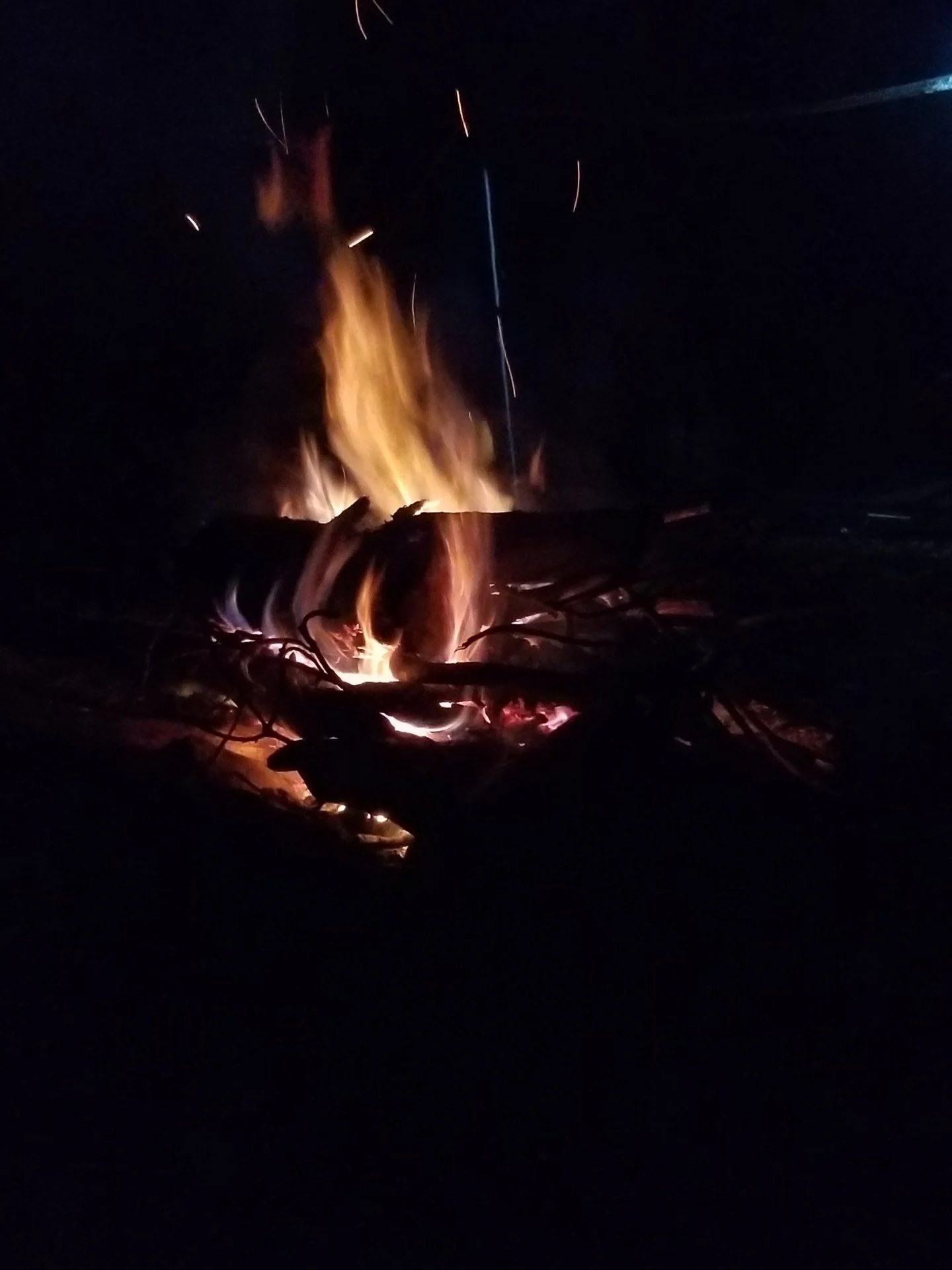 20190823_220220.webp