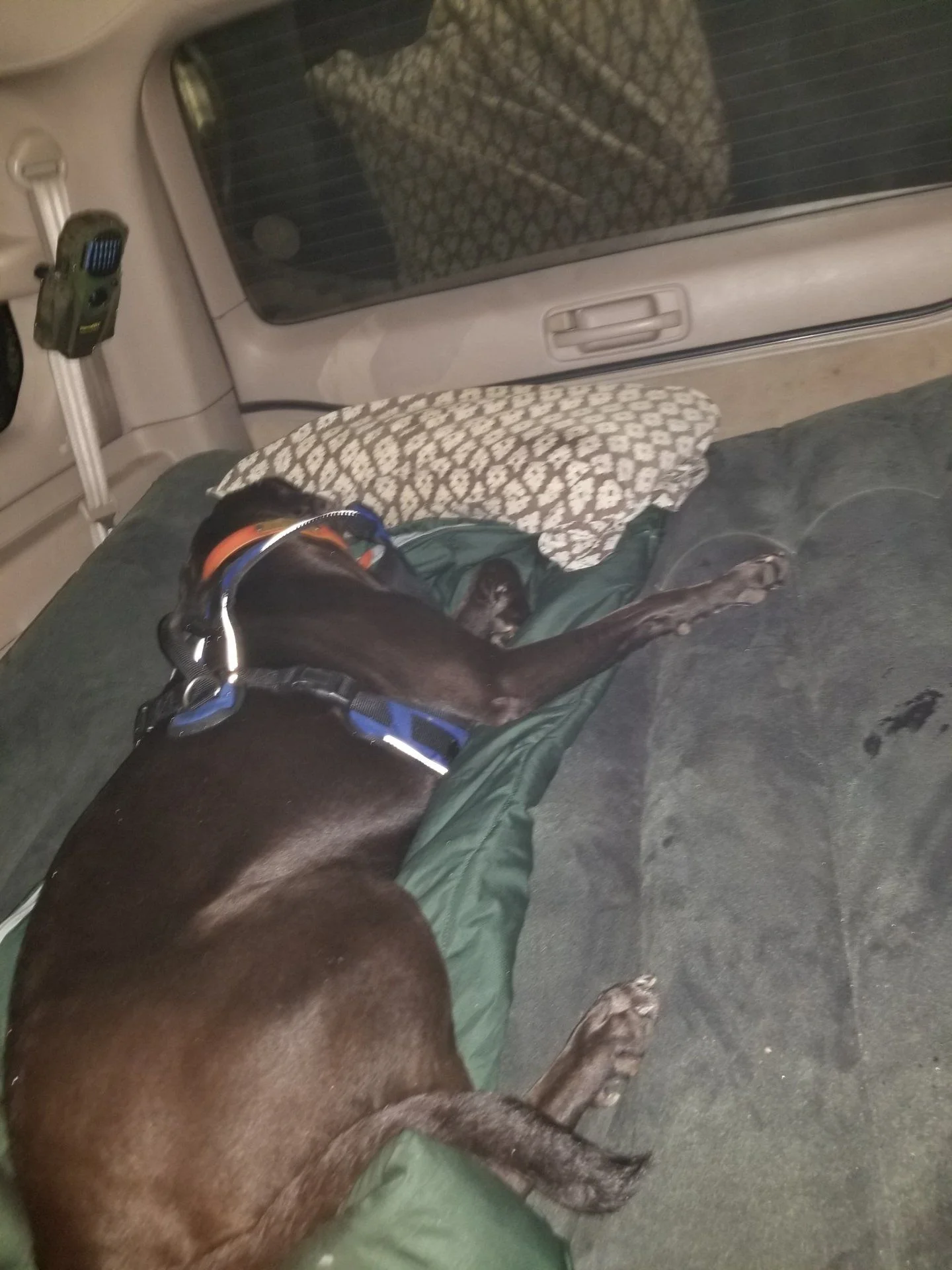 20190825_004904.webp