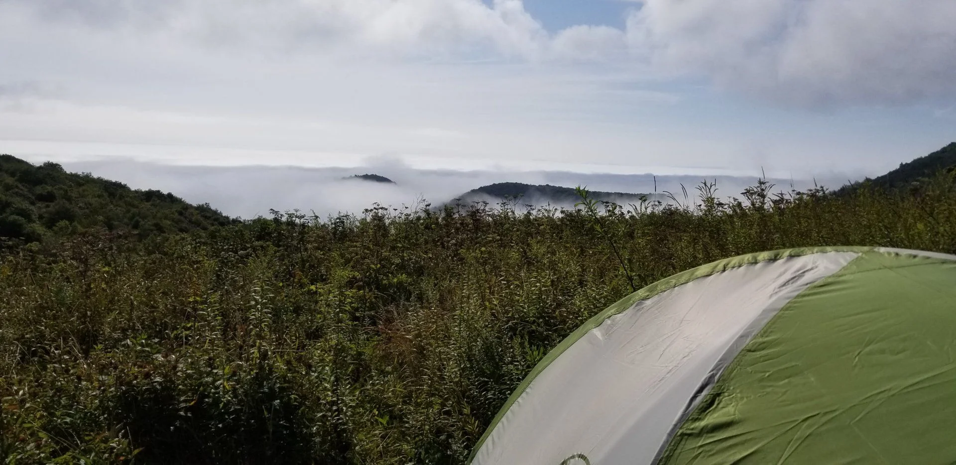 20190825_101423.webp
