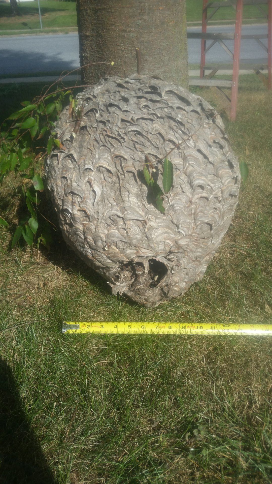 20190827_162437.jpg