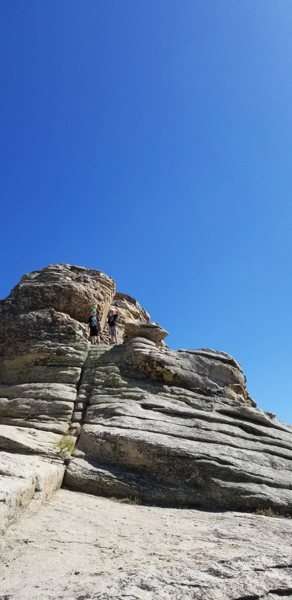 20190901_151358(0).webp
