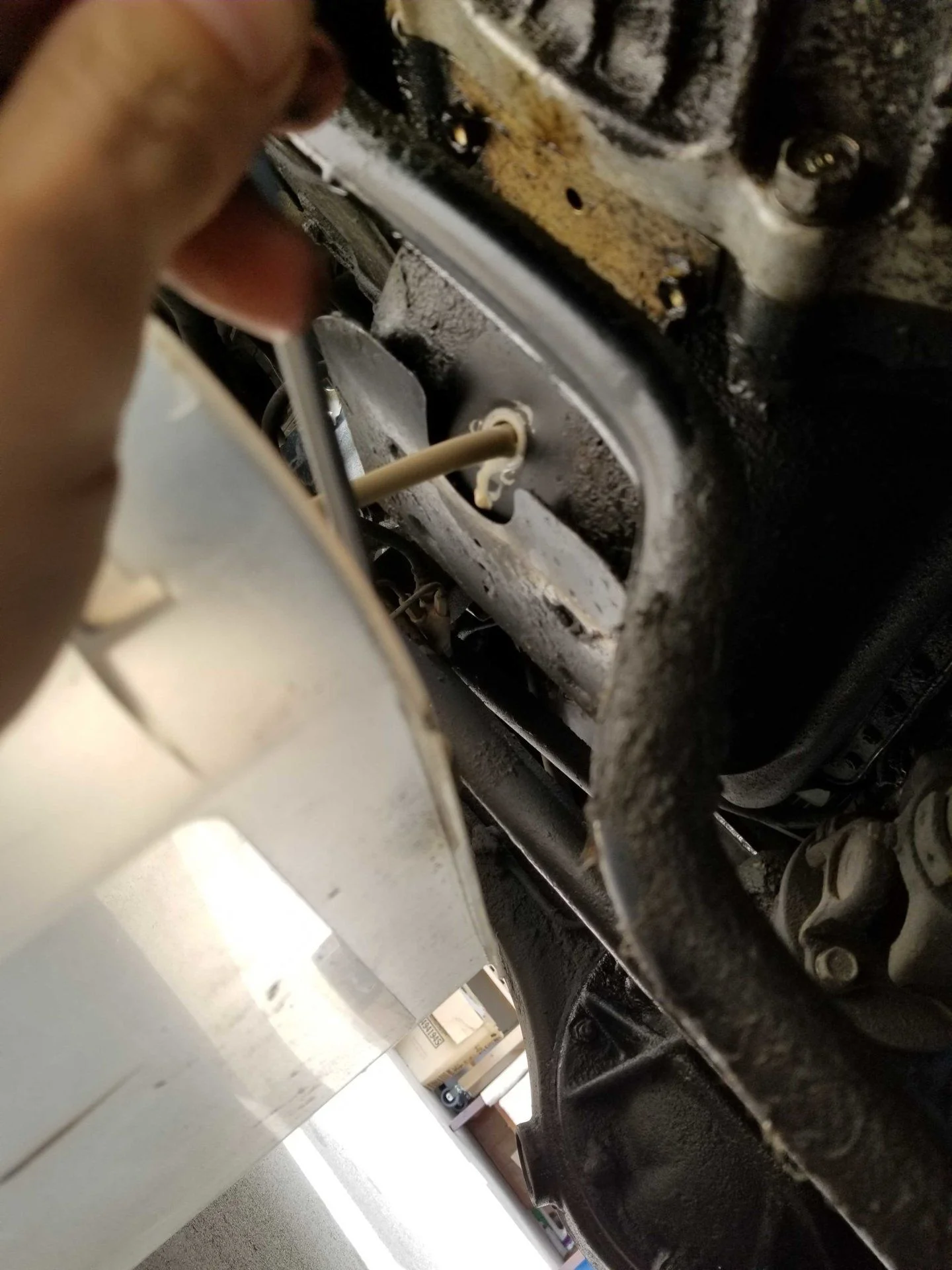 20190910_165424.jpg