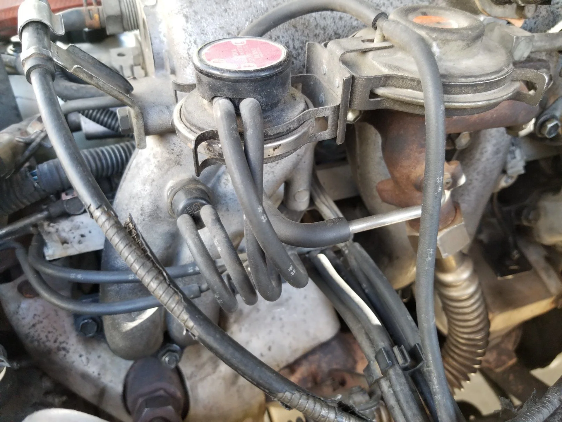 20190915_144835.webp