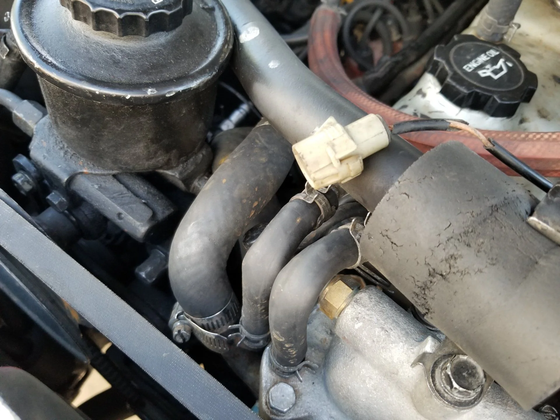 20190915_144920.webp