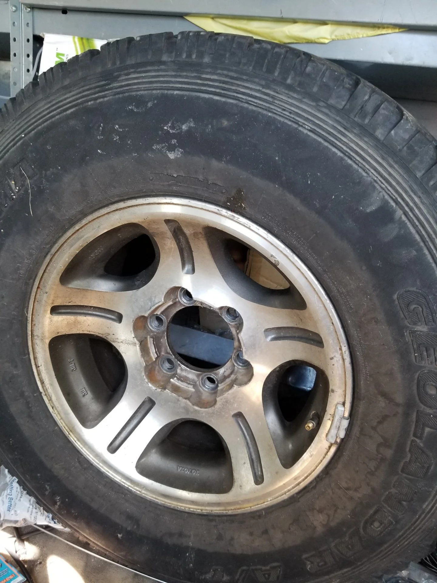 20190922_142854.jpg
