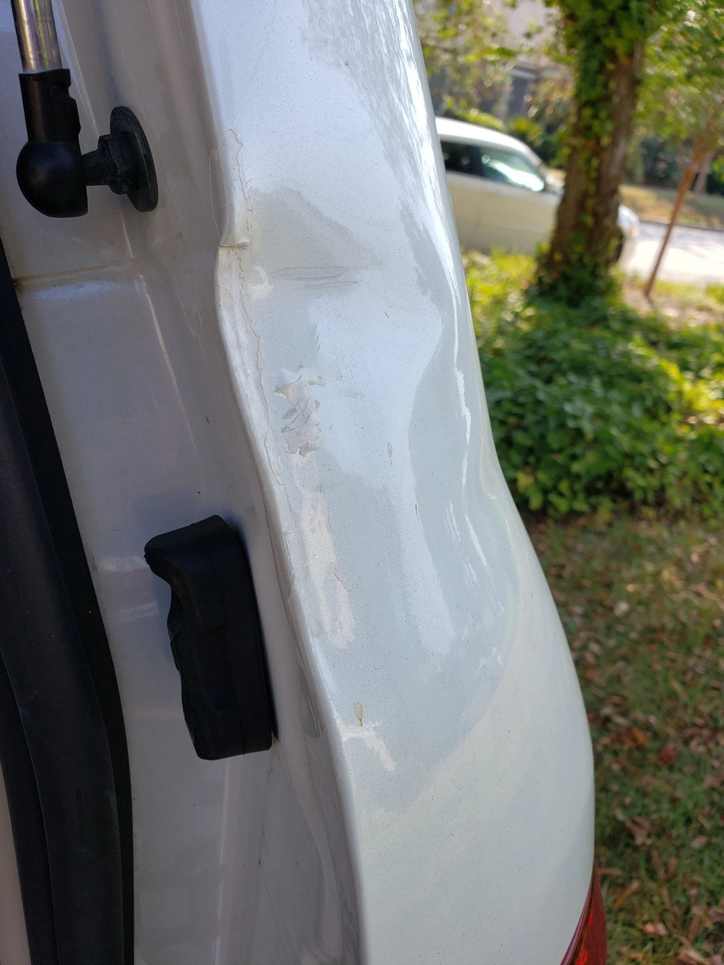 20190928_104641.webp