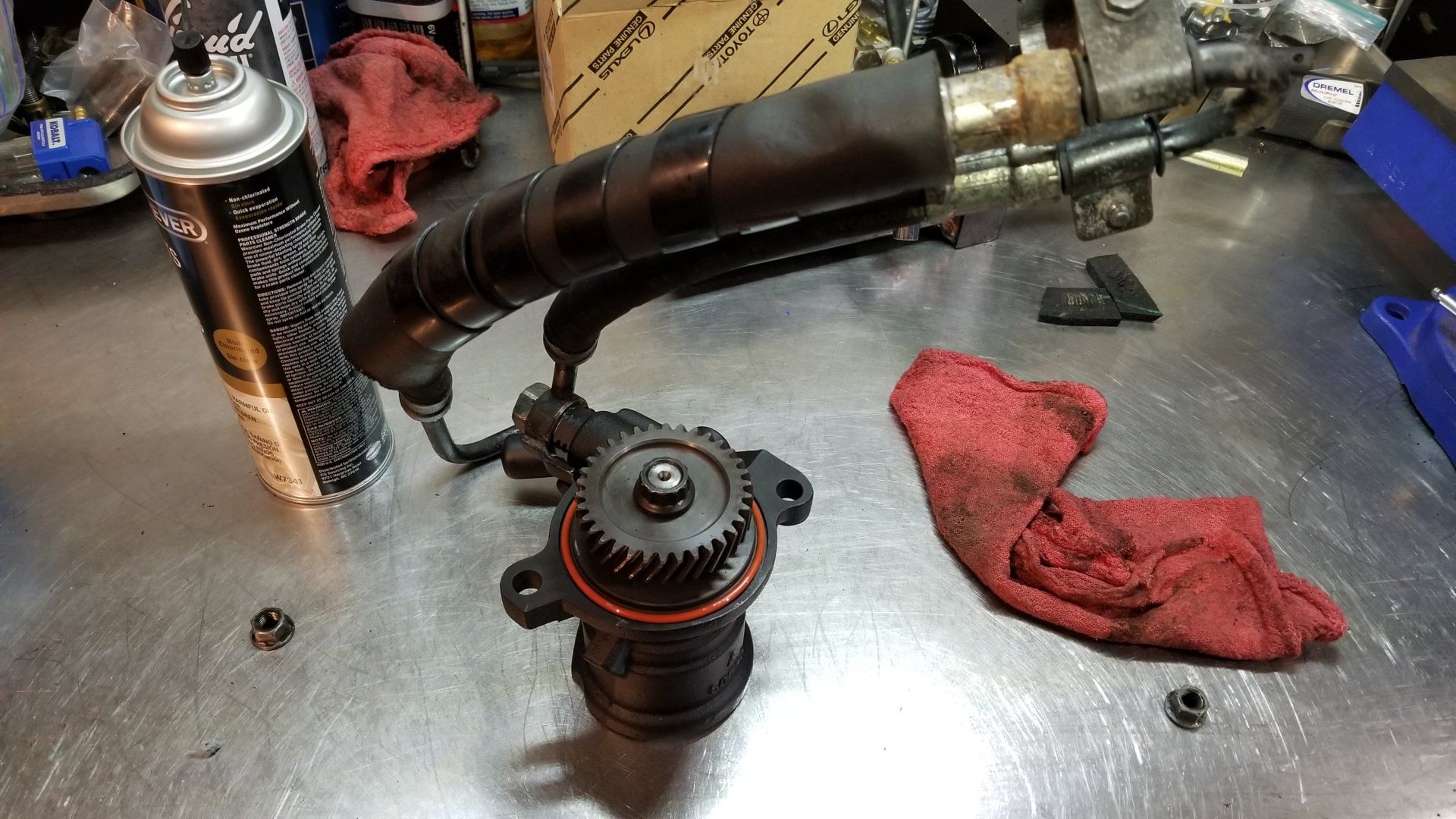 20191003_170253[1].jpg