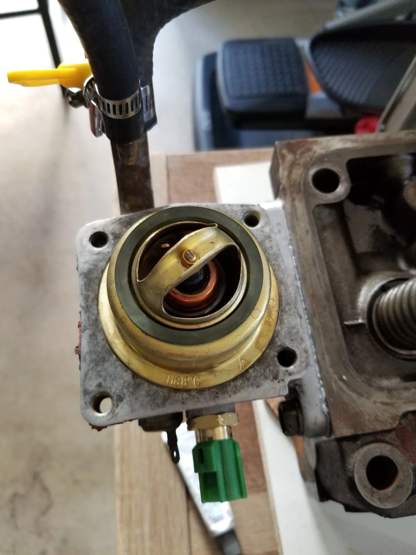 20191005_162515.jpg