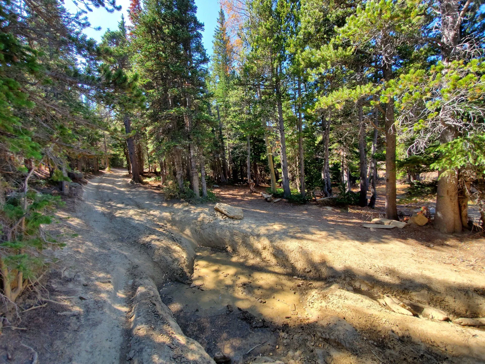 20191006_115725.webp